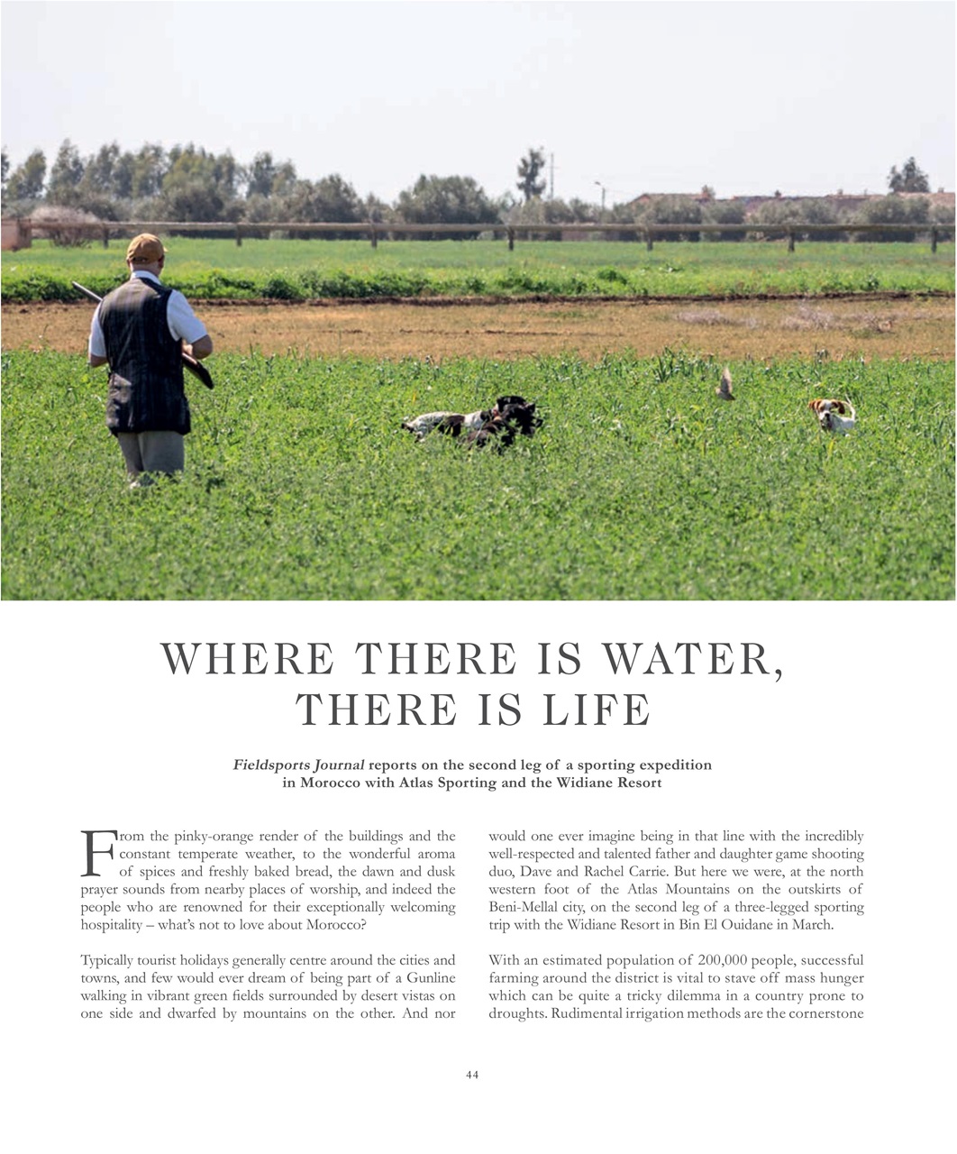 Fieldsports Journal Preview Pages