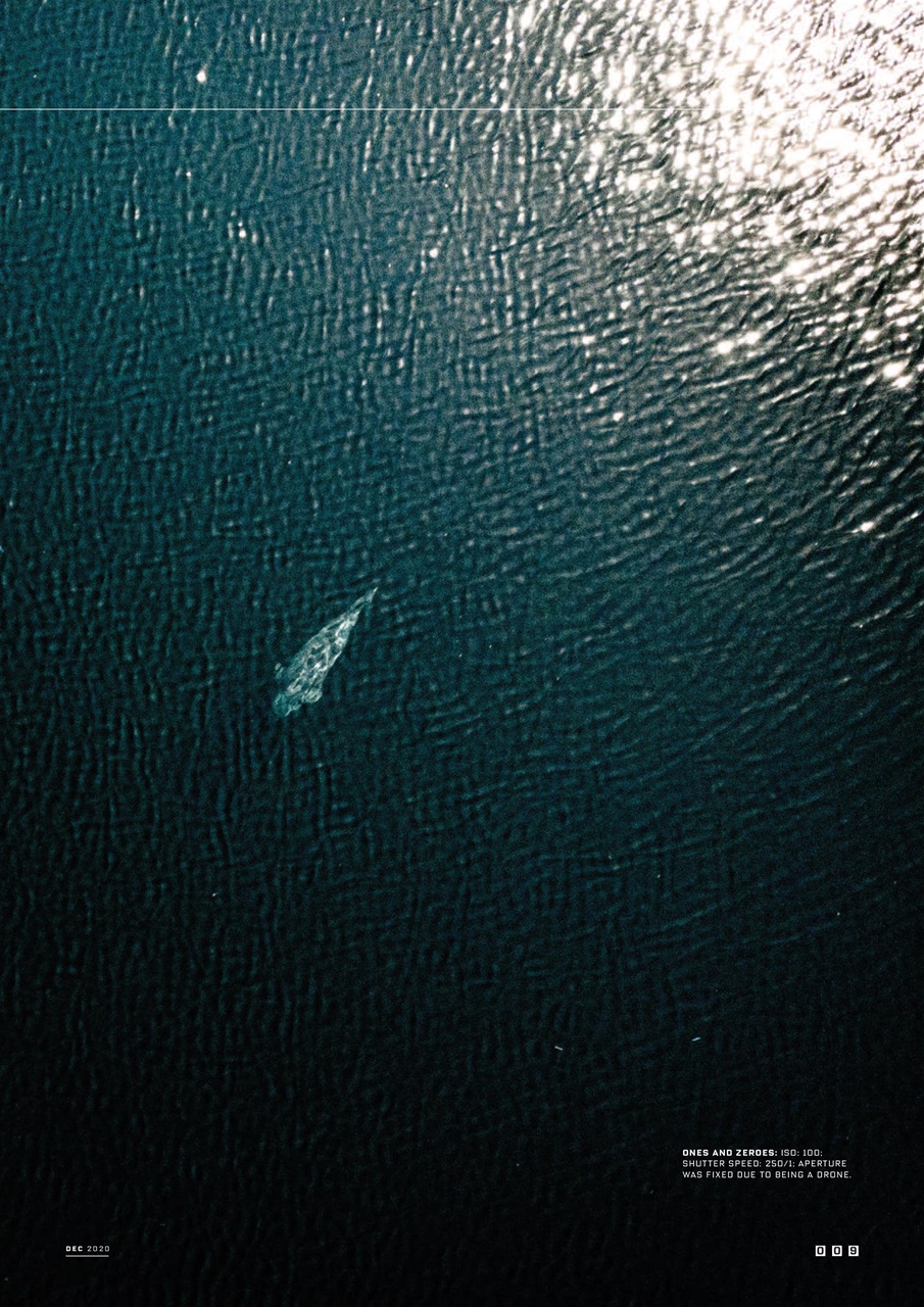 CARPology Magazine Preview Pages