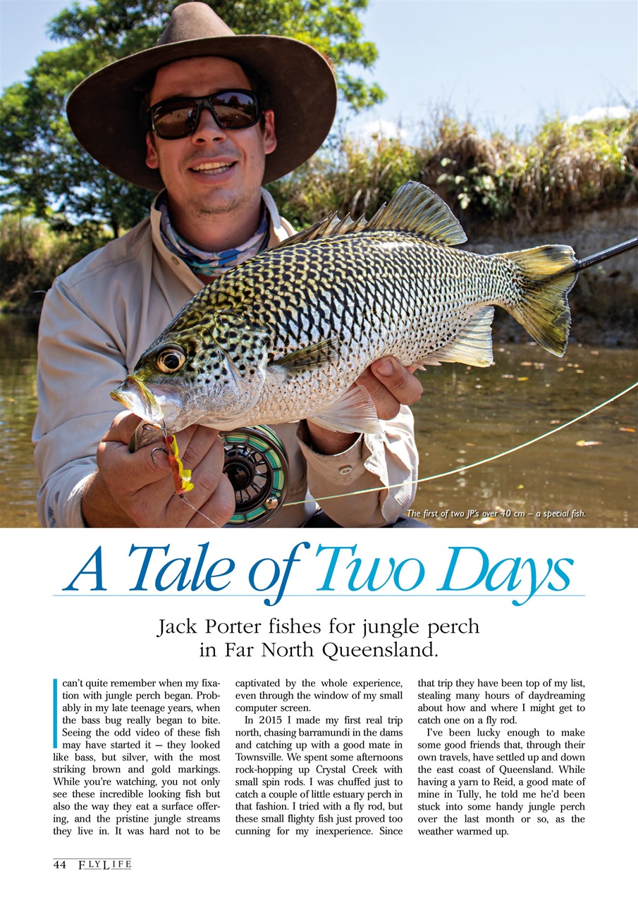 FlyLife Preview Pages