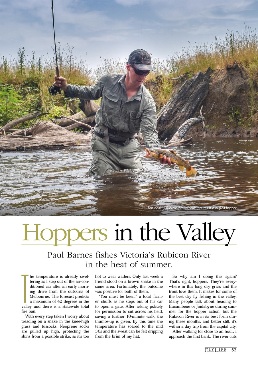 FlyLife Preview Pages