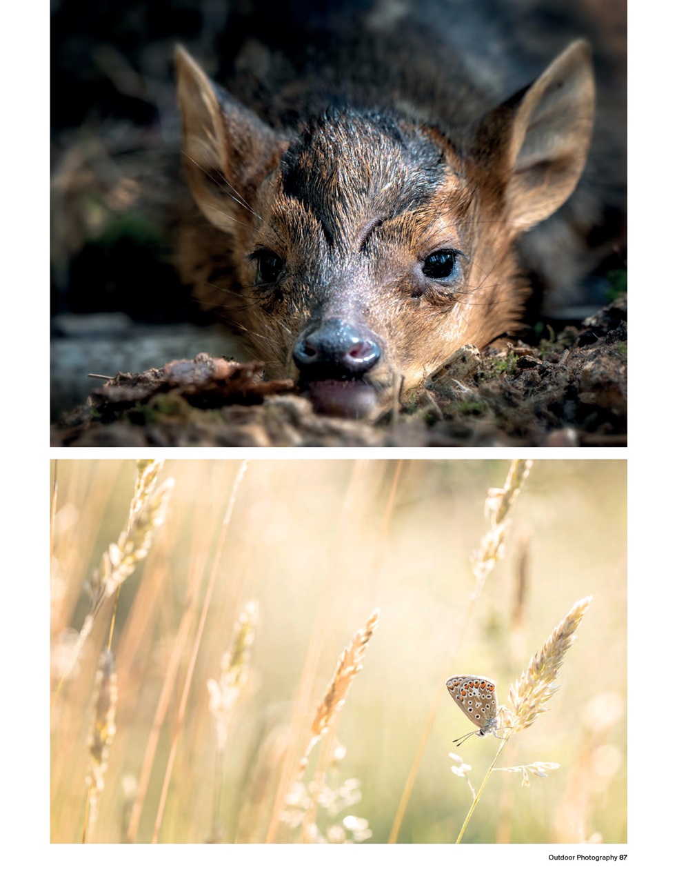 Outdoor Photography Preview Pages