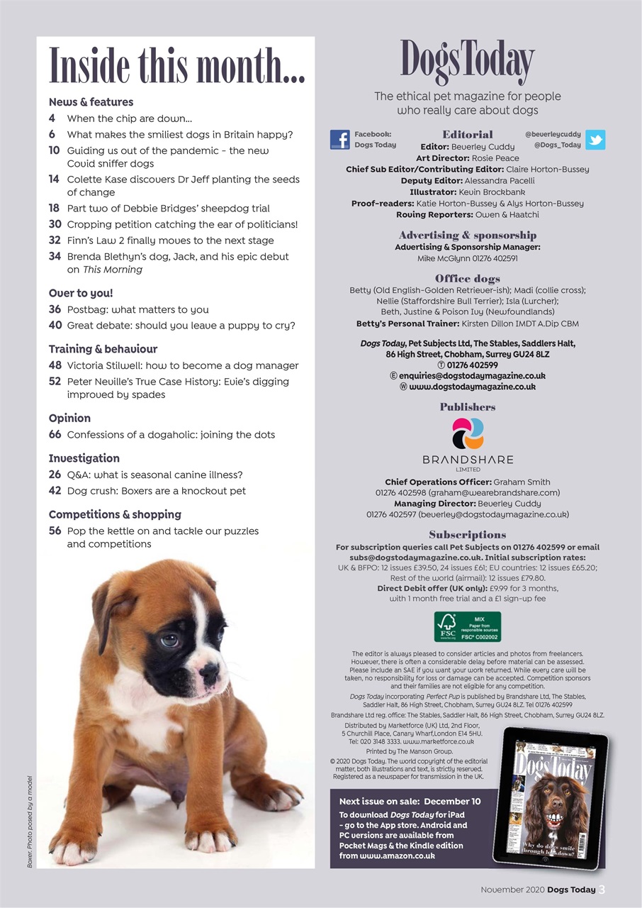 Dogs Today Magazine Preview Pages
