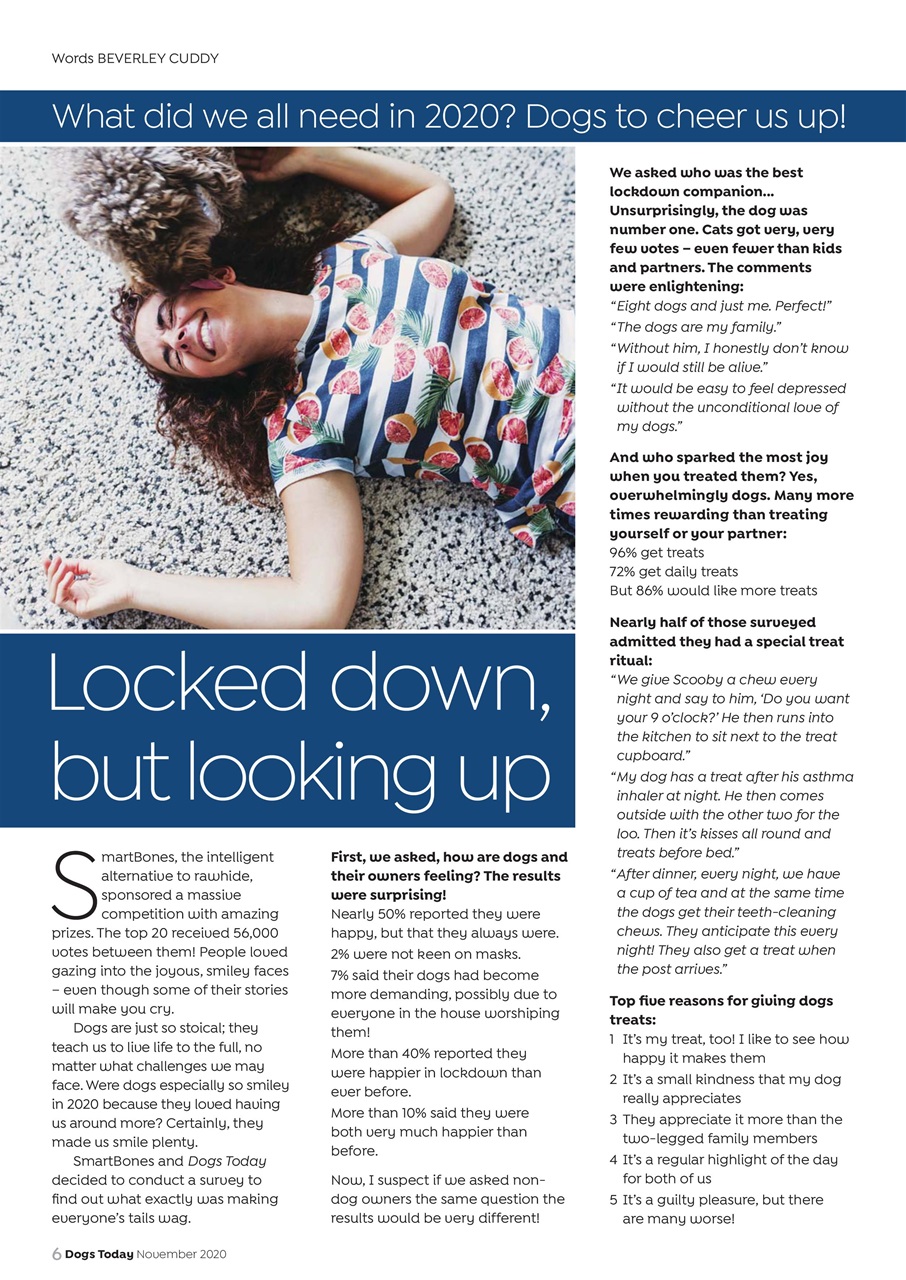 Dogs Today Magazine Preview Pages