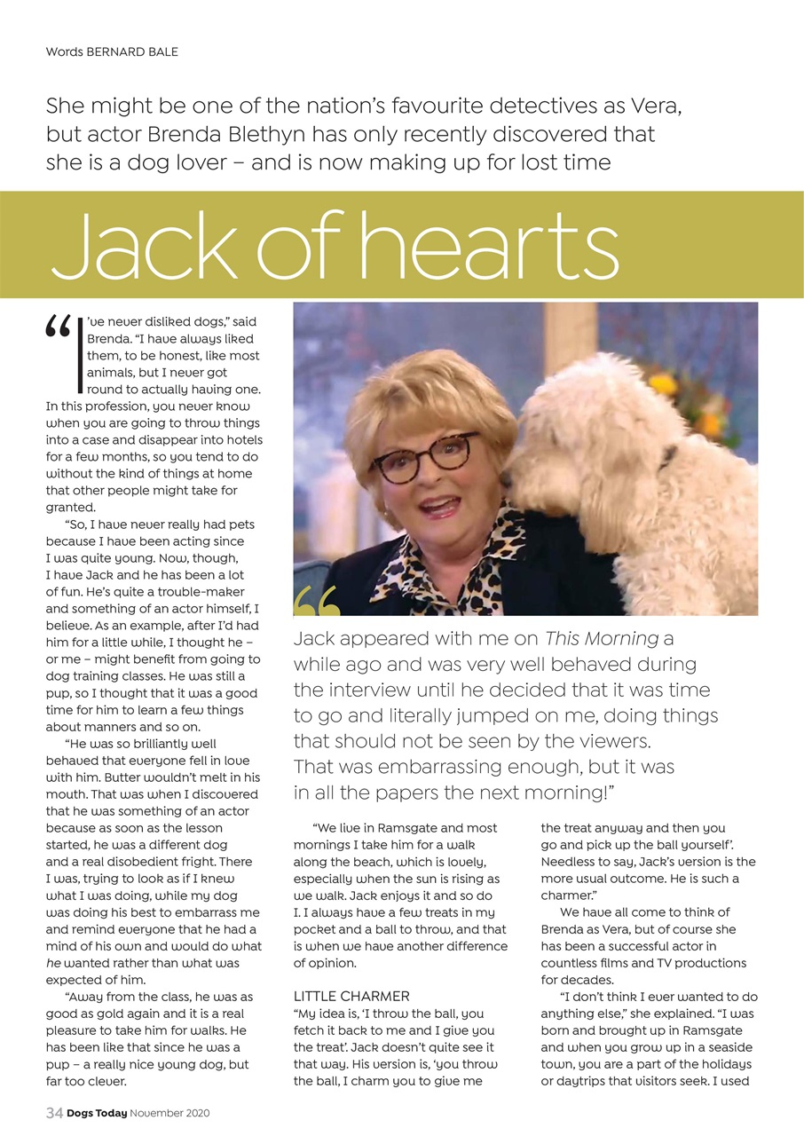 Dogs Today Magazine Preview Pages