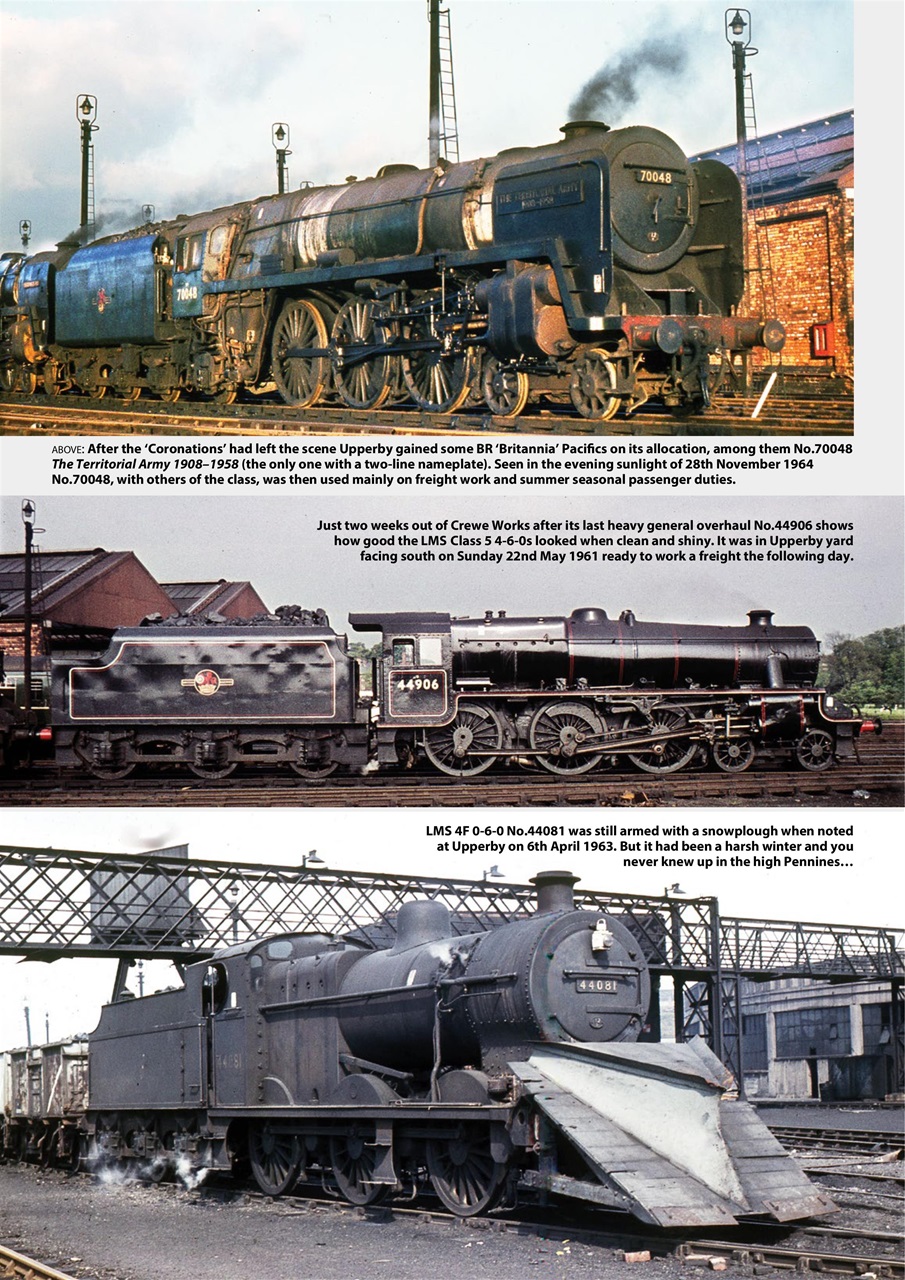 Backtrack Preview Pages