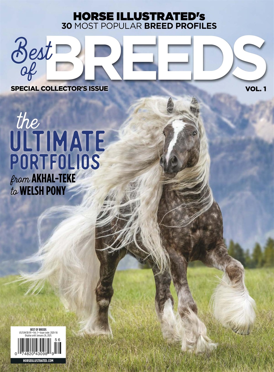 Horse Illustrated Magazine Preview Pages