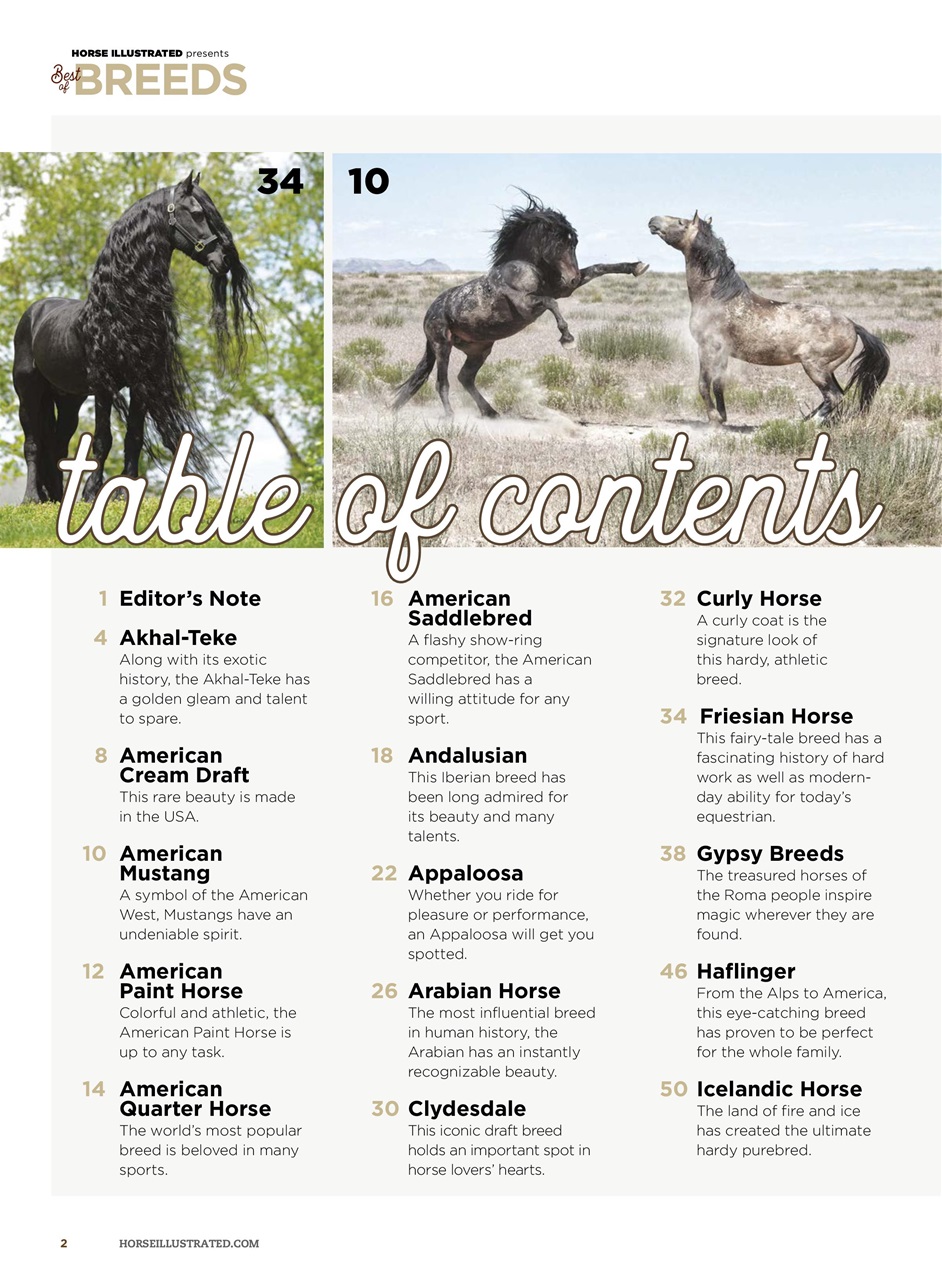 Horse Illustrated Magazine Preview Pages