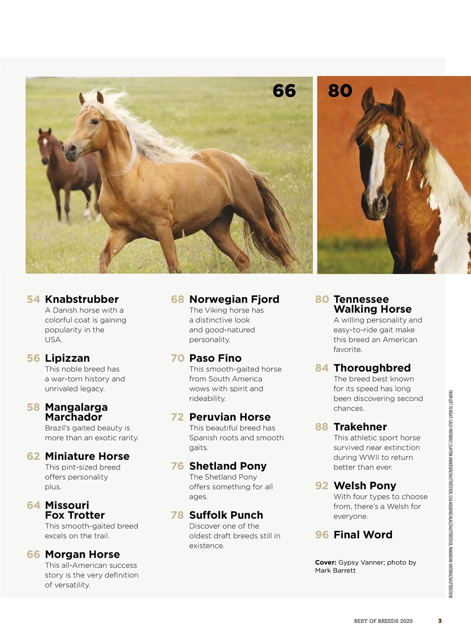 Horse Illustrated Magazine Preview Pages