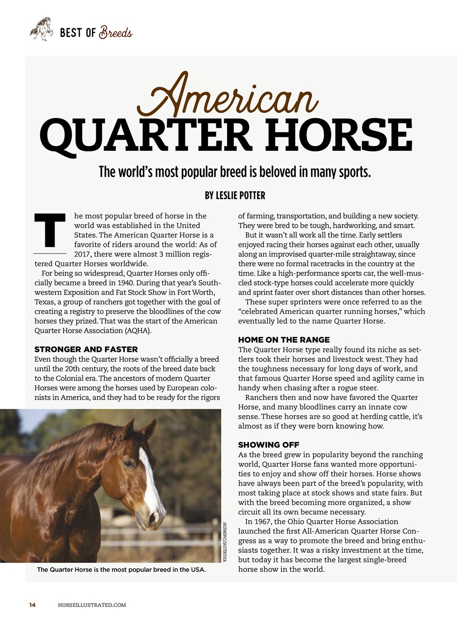 Horse Illustrated Magazine Preview Pages