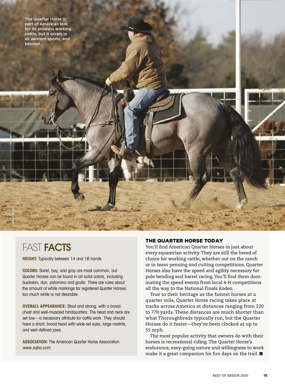 Horse Illustrated Magazine Preview Pages