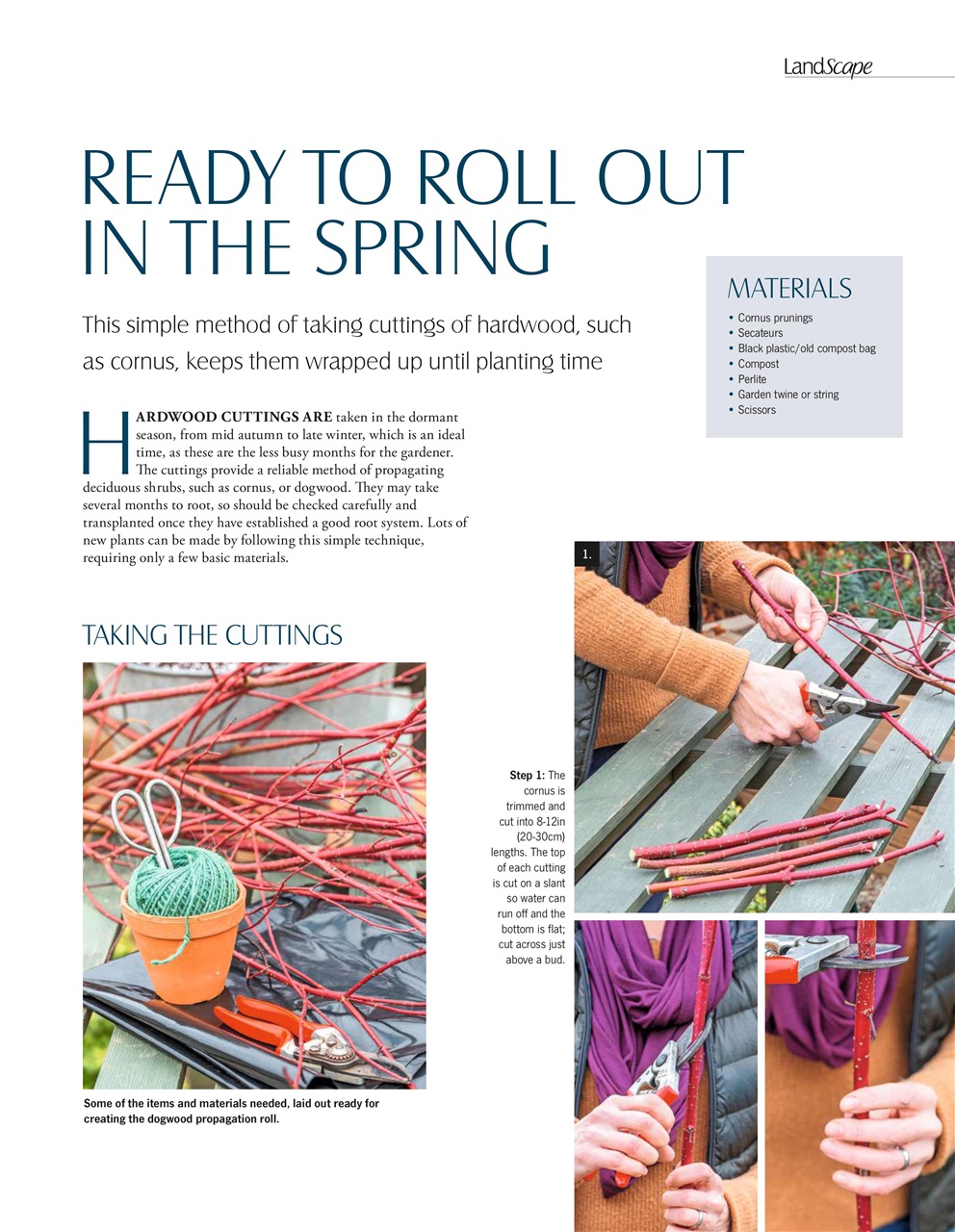 LandScape Preview Pages