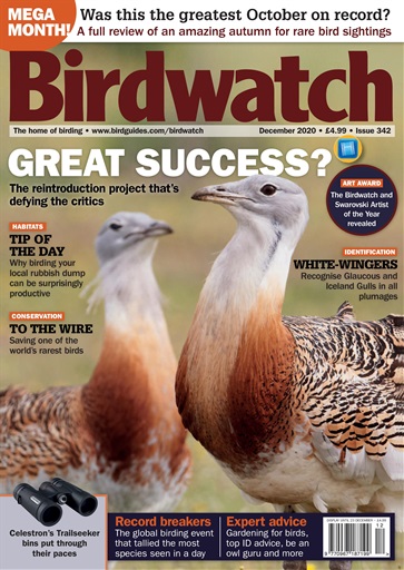 Birdwatch Magazine issue 