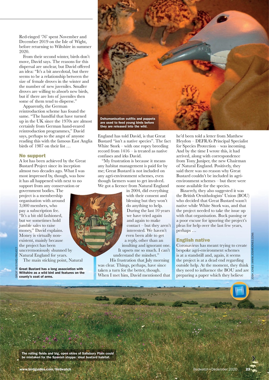 Birdwatch Magazine Preview Pages