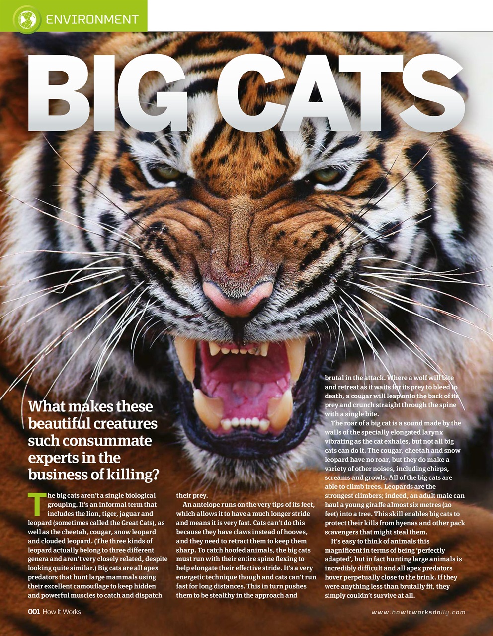 How It Works Preview Pages