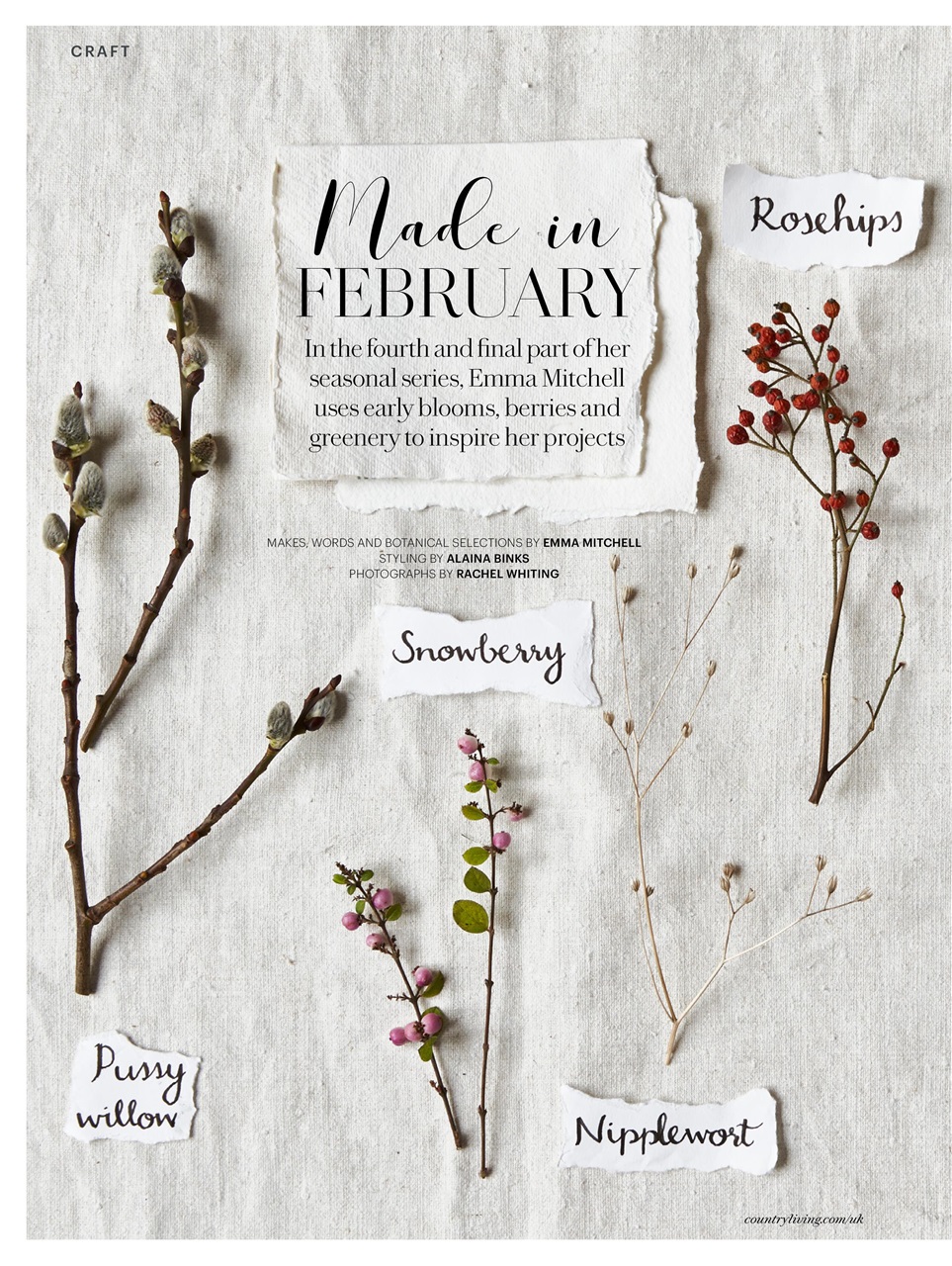 Country Living Preview Pages