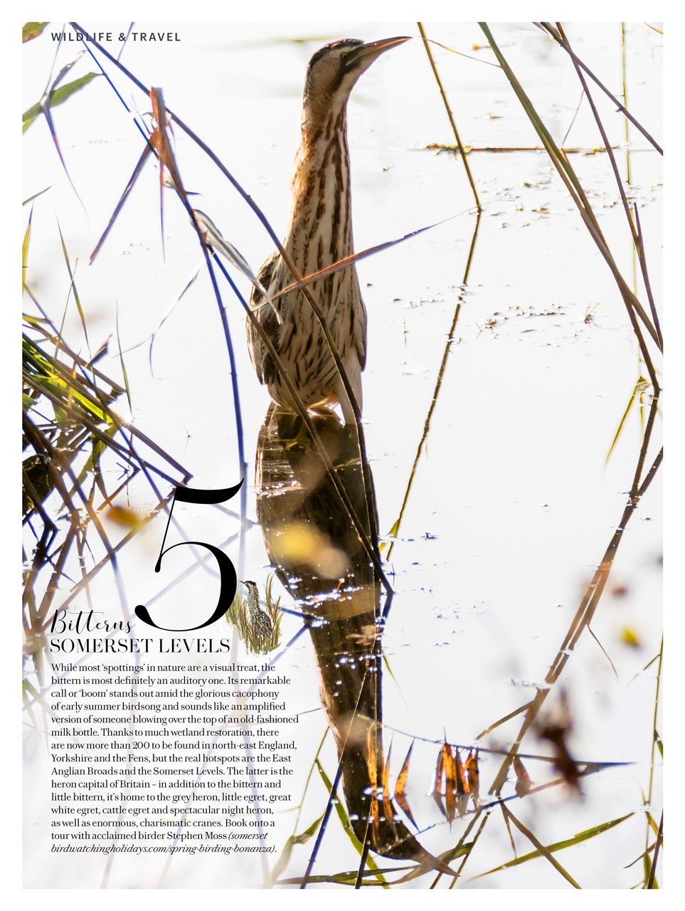 Country Living Preview Pages