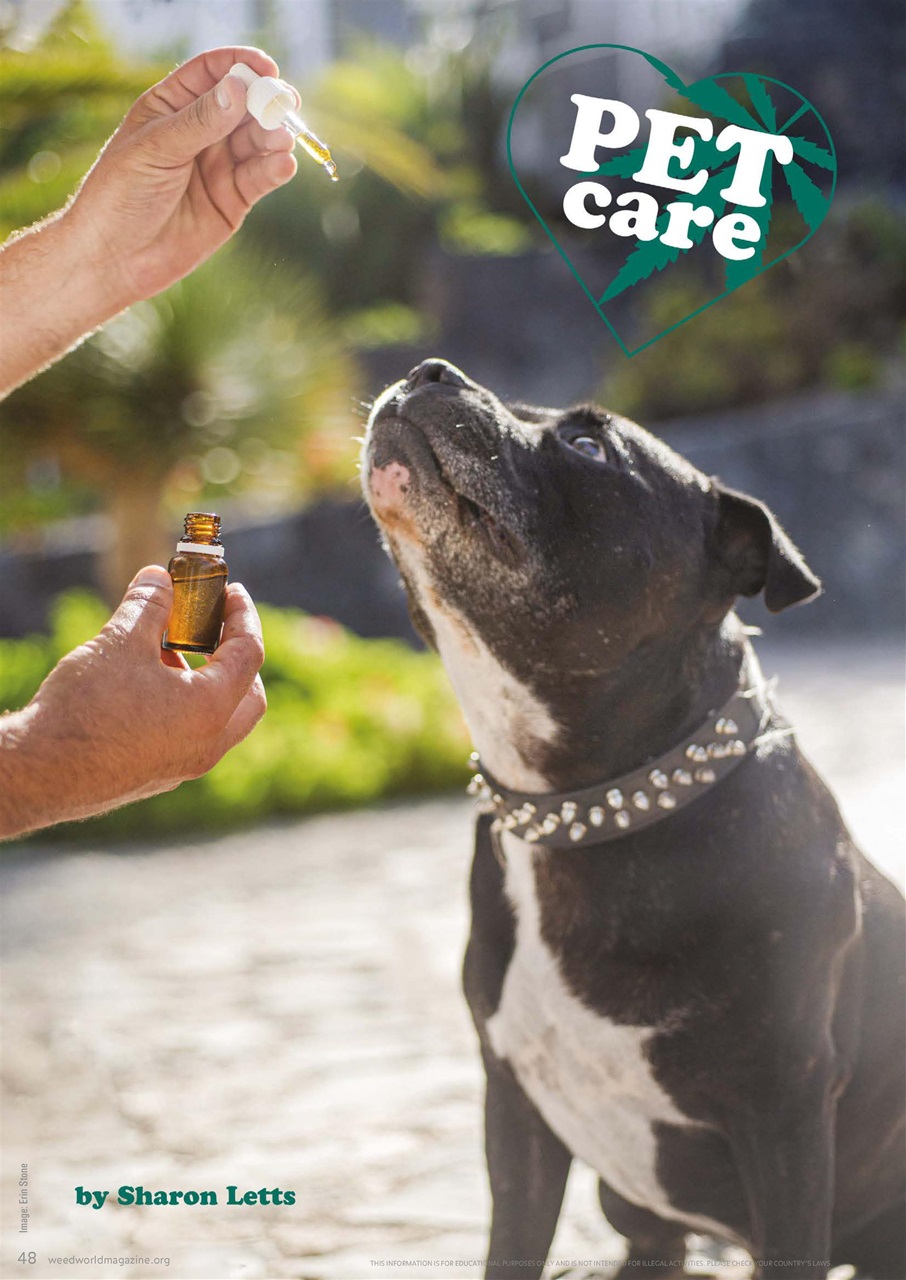 Weed World Preview Pages