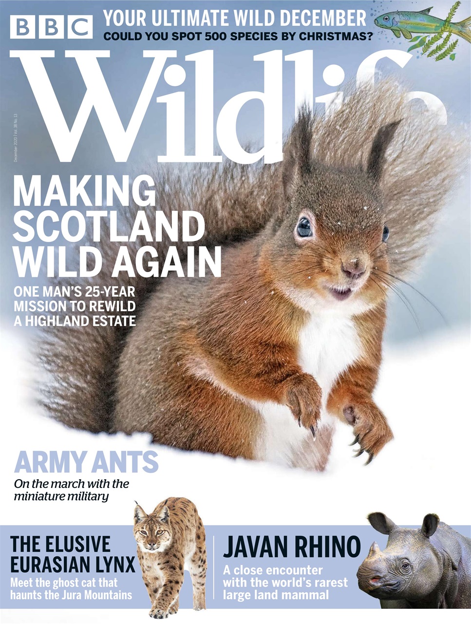 BBC Wildlife Magazine Preview Pages
