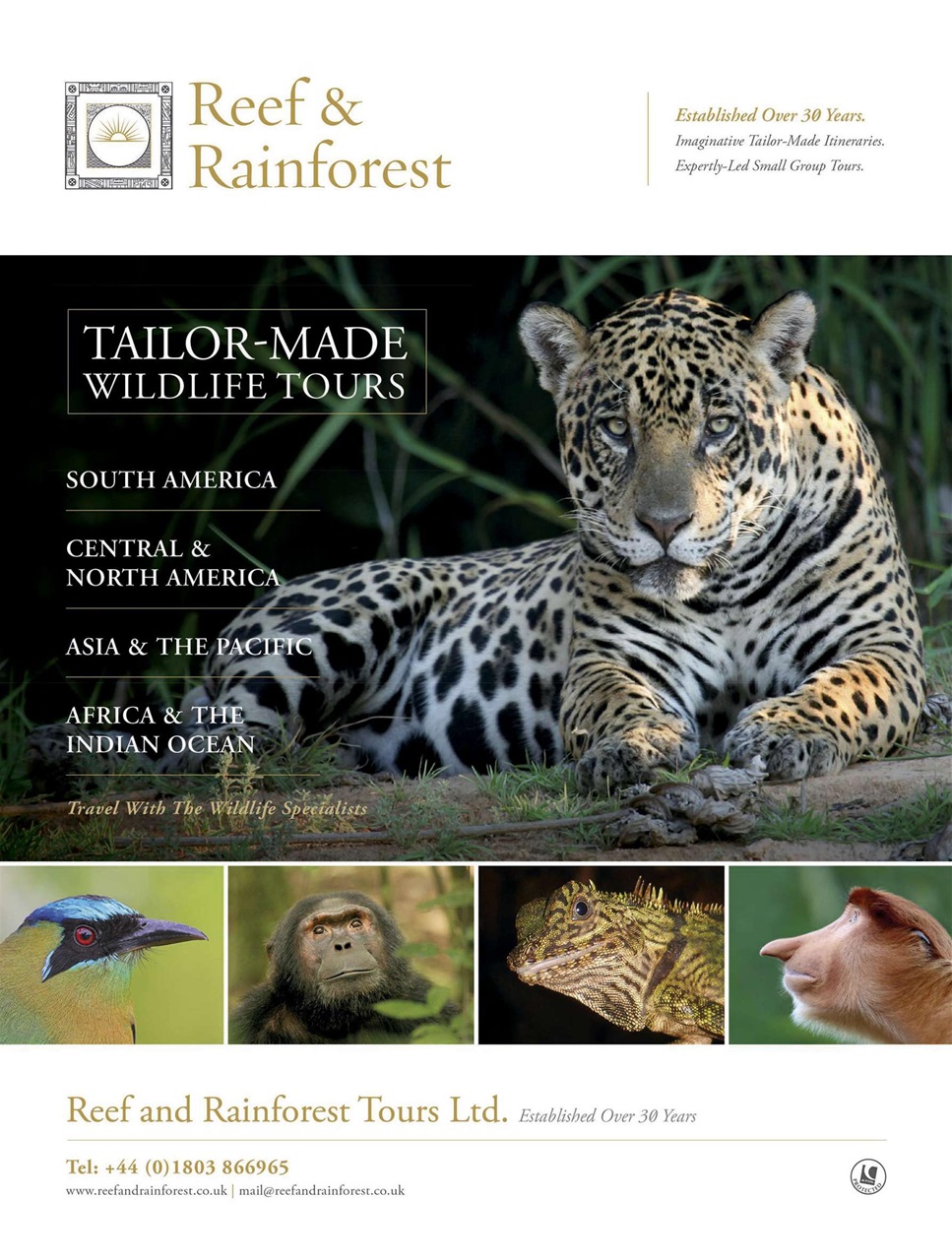 BBC Wildlife Magazine Preview Pages