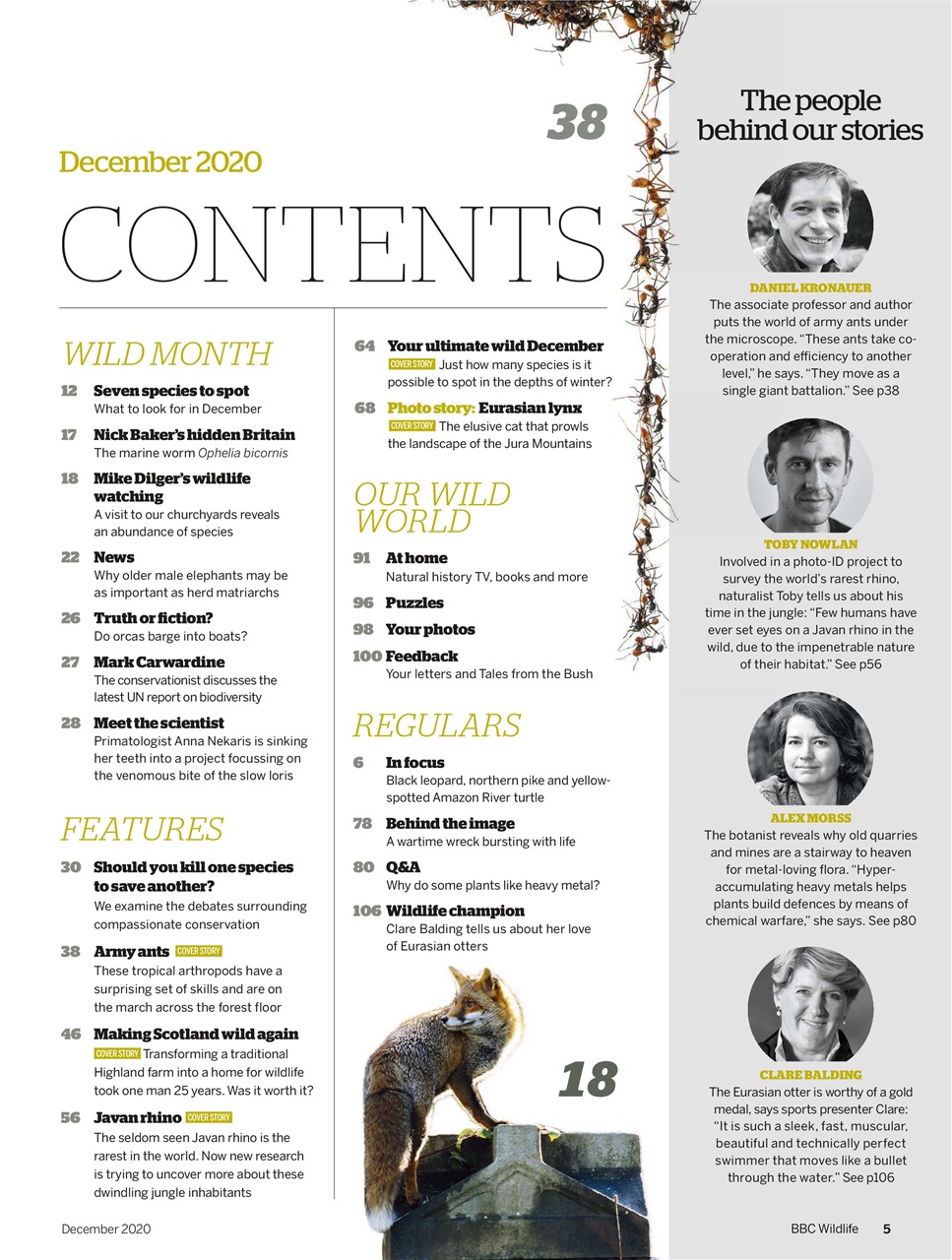 BBC Wildlife Magazine Preview Pages