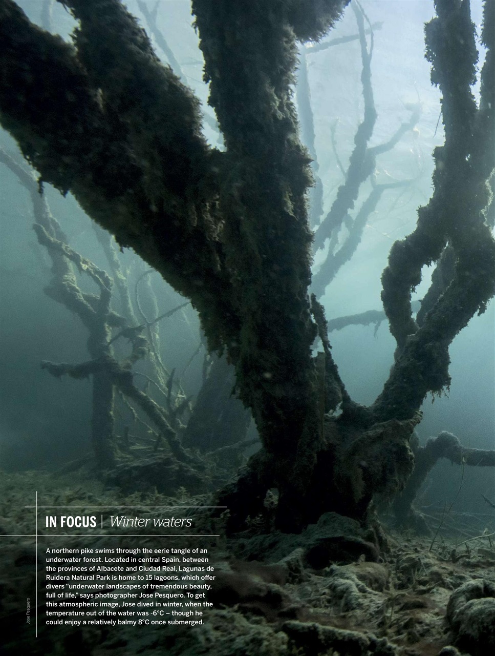 BBC Wildlife Magazine Preview Pages