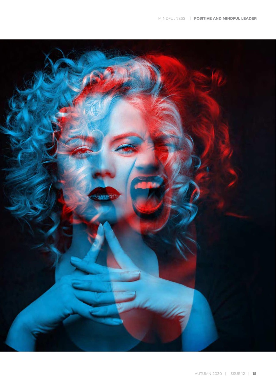 Positive & Mindful Leader Preview Pages