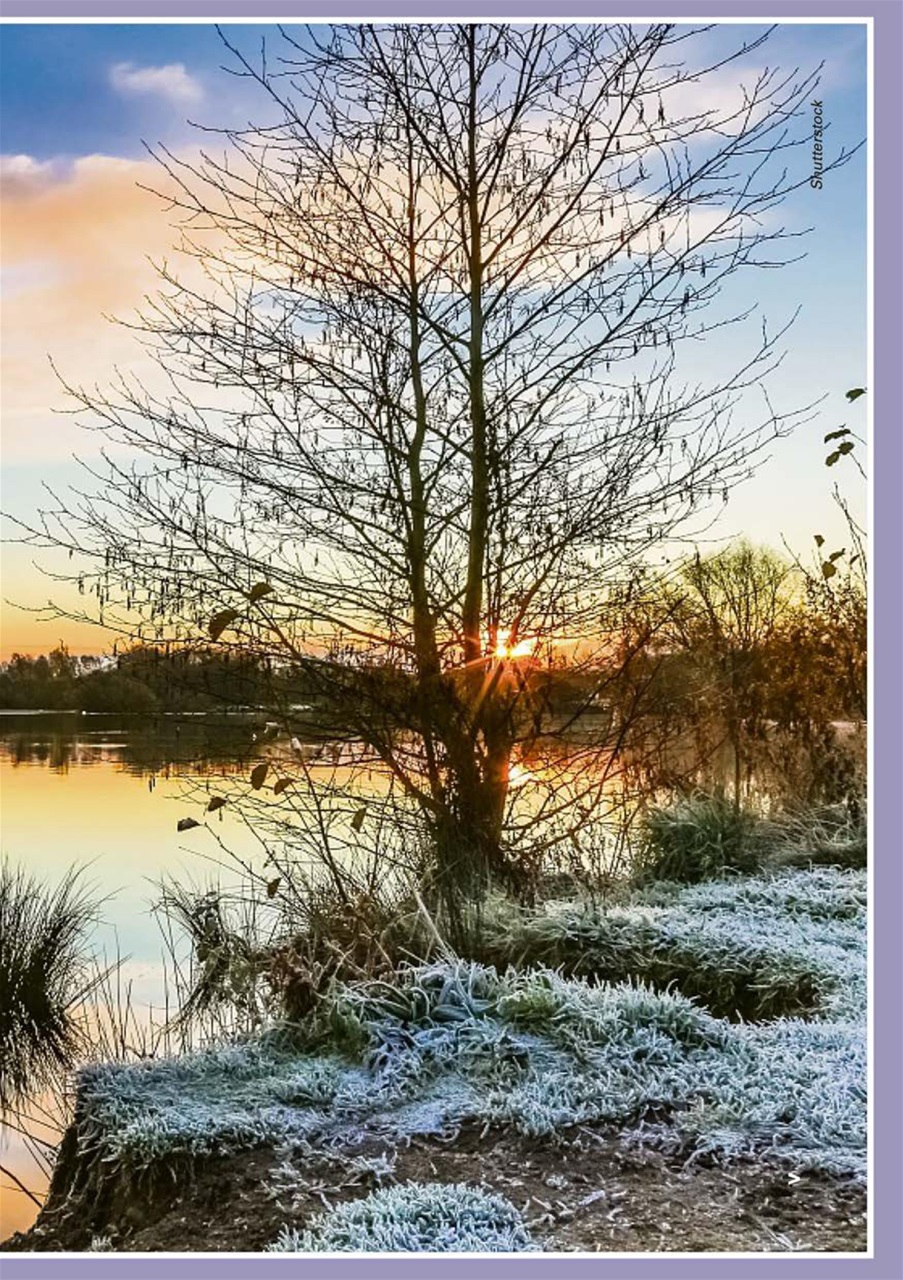 Evergreen Preview Pages