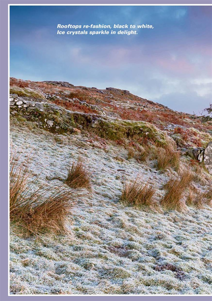 Evergreen Preview Pages