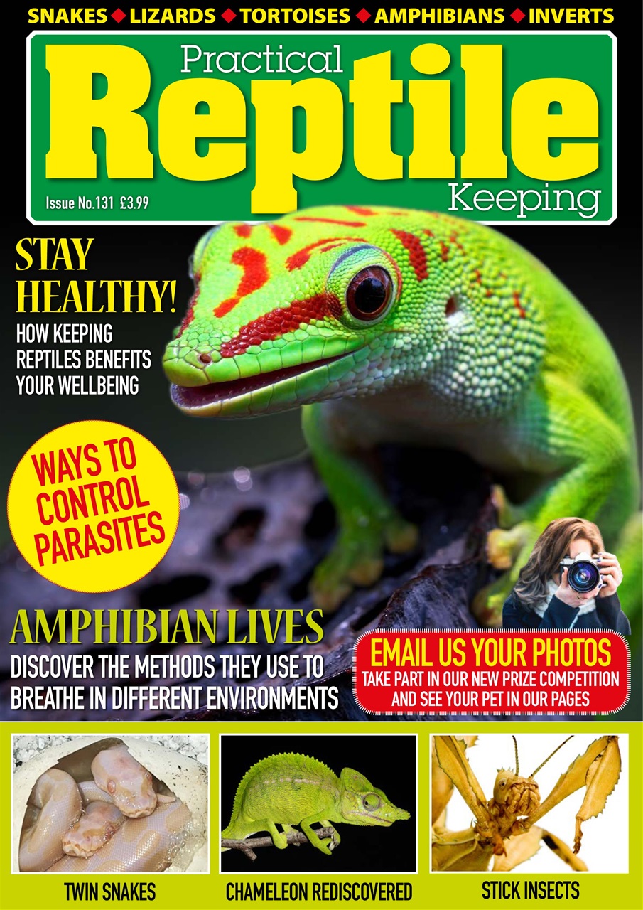 Practical Reptile Keeping Preview Pages