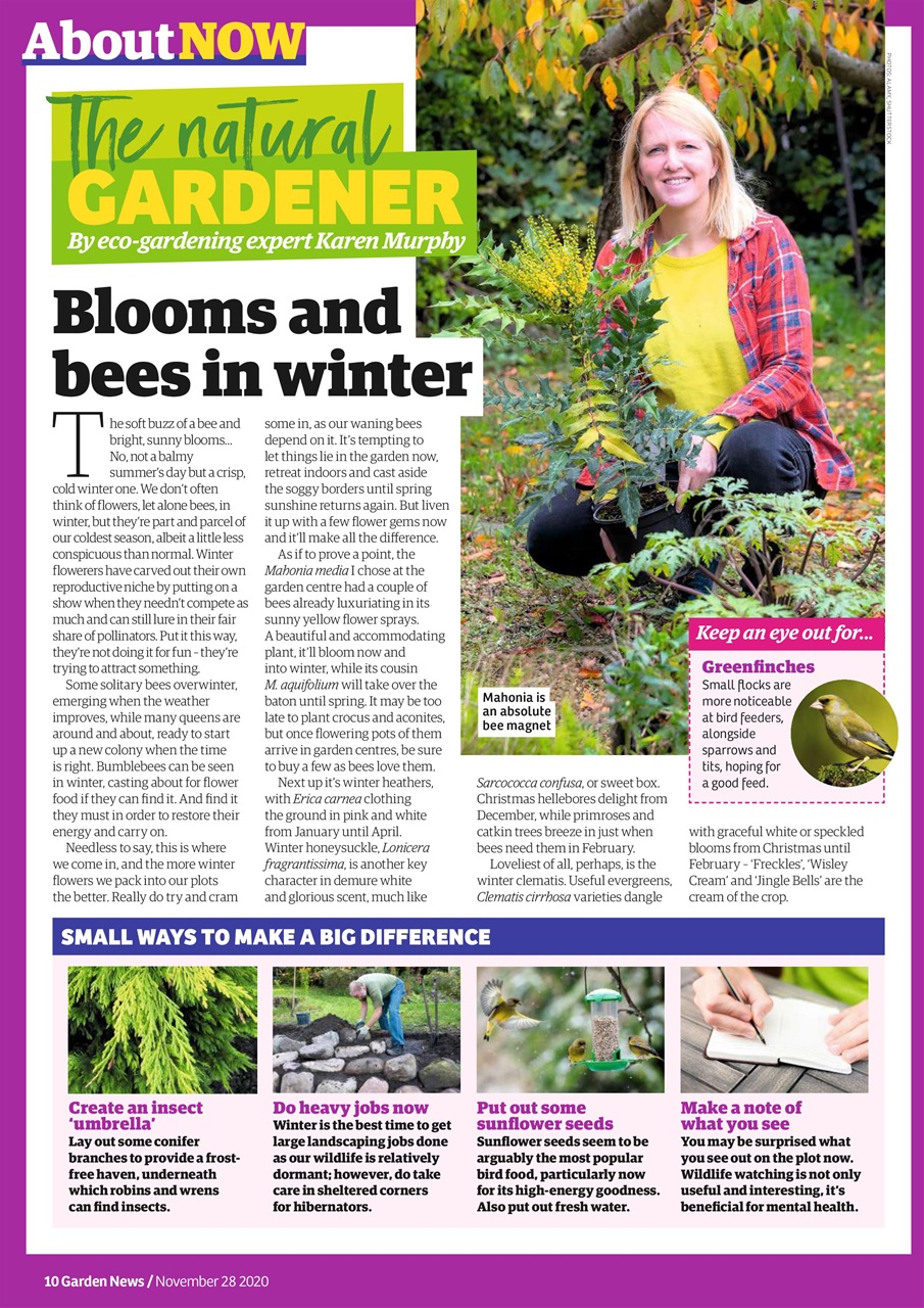 Garden News Preview Pages
