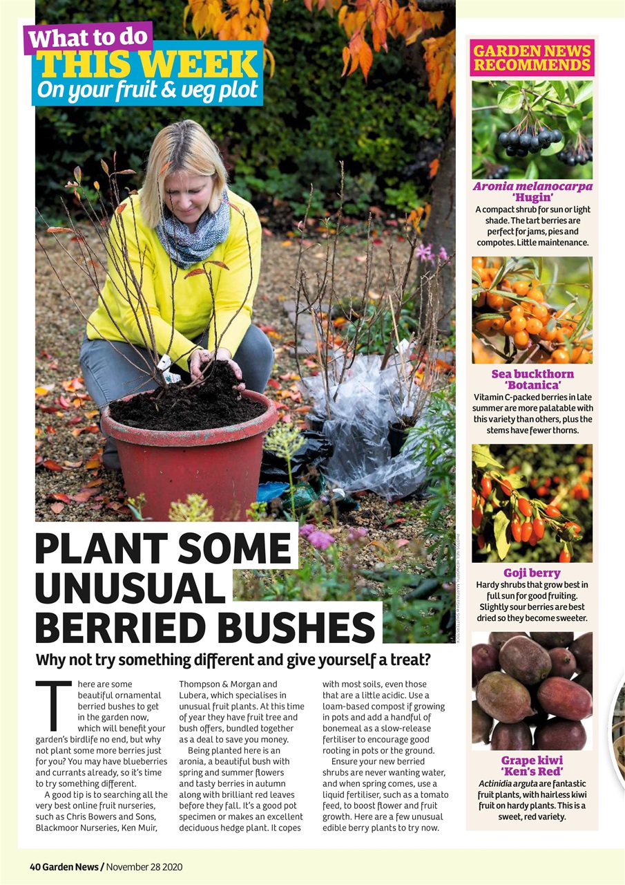 Garden News Preview Pages