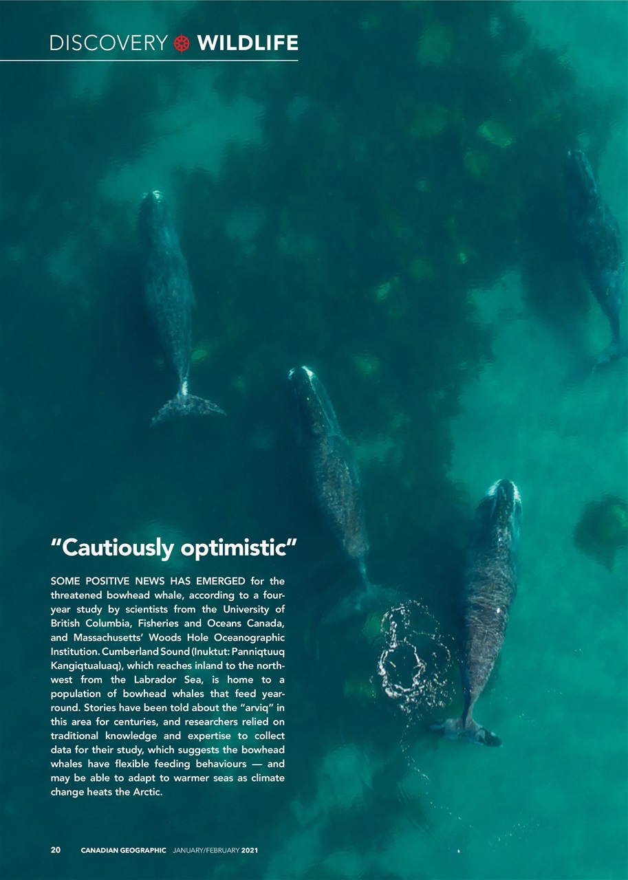 Canadian Geographic Preview Pages