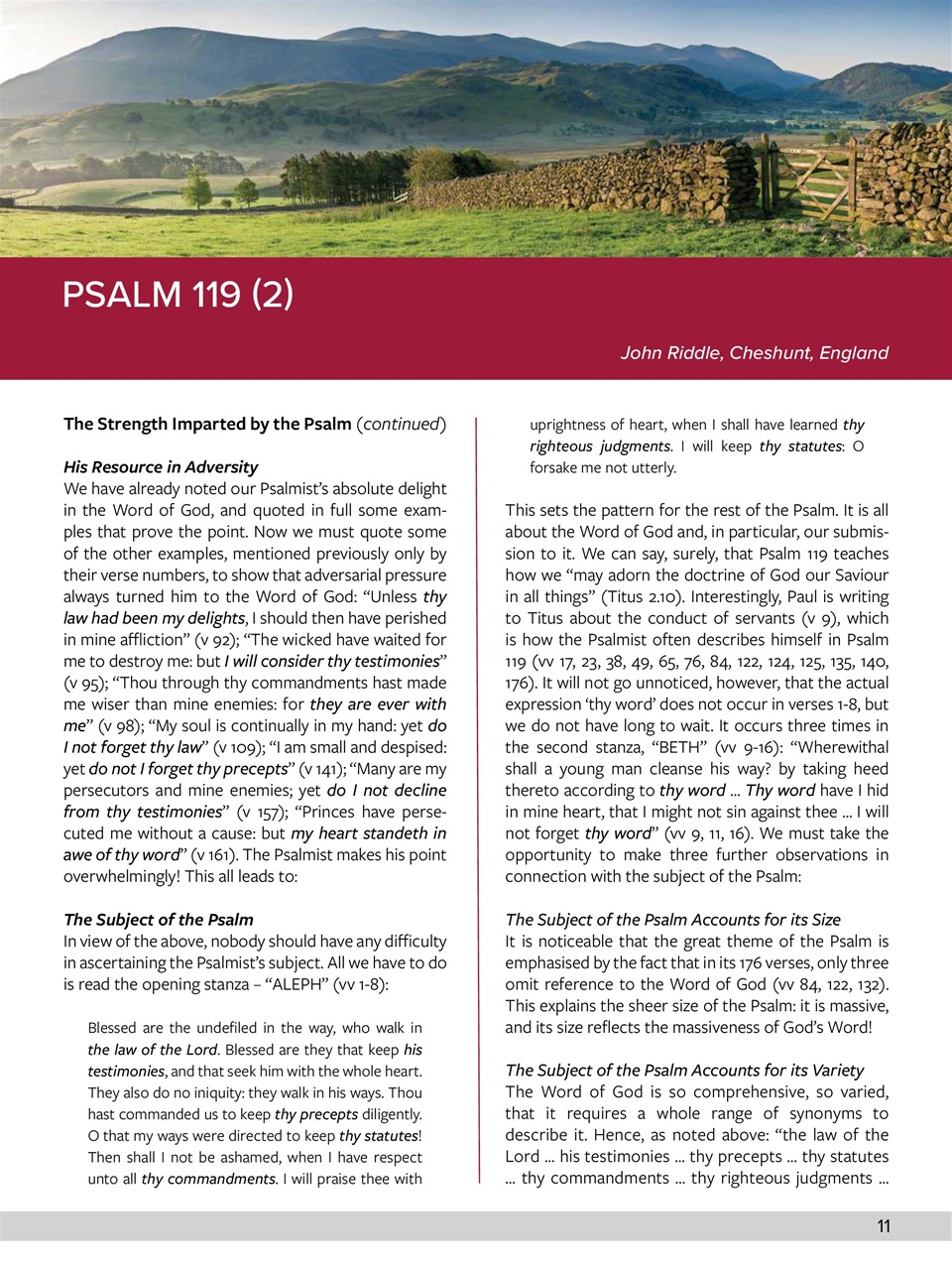 Believer Magazine Preview Pages