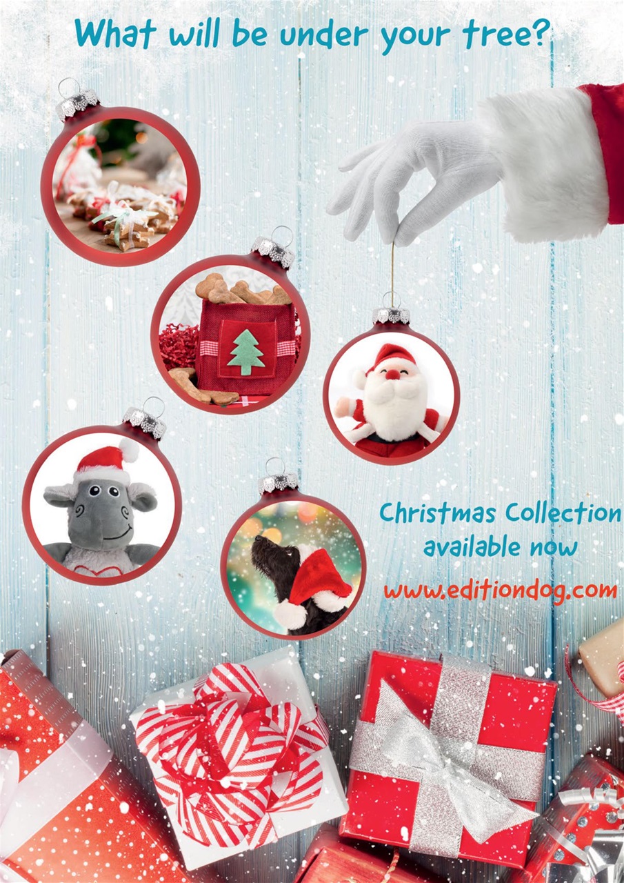 Edition Dog Preview Pages