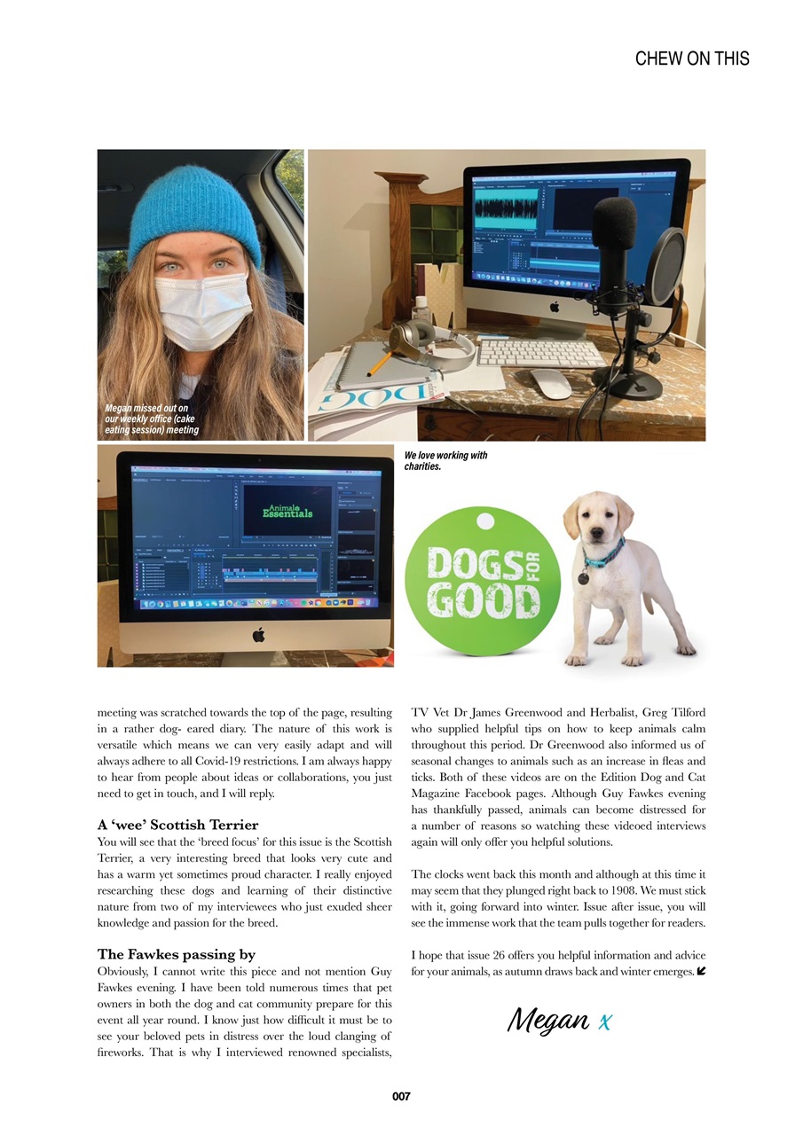 Edition Dog Preview Pages