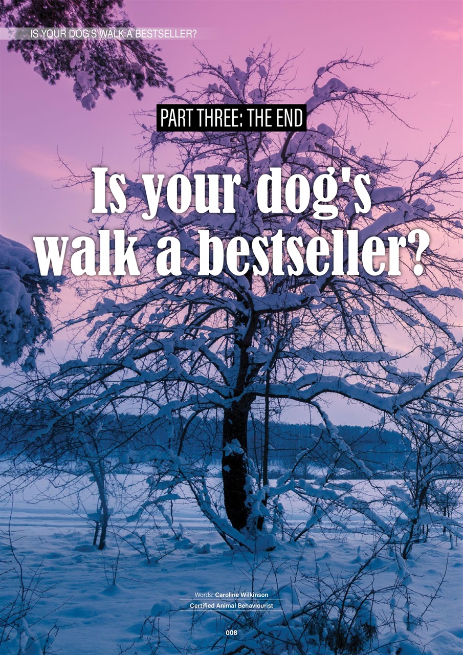 Edition Dog Preview Pages