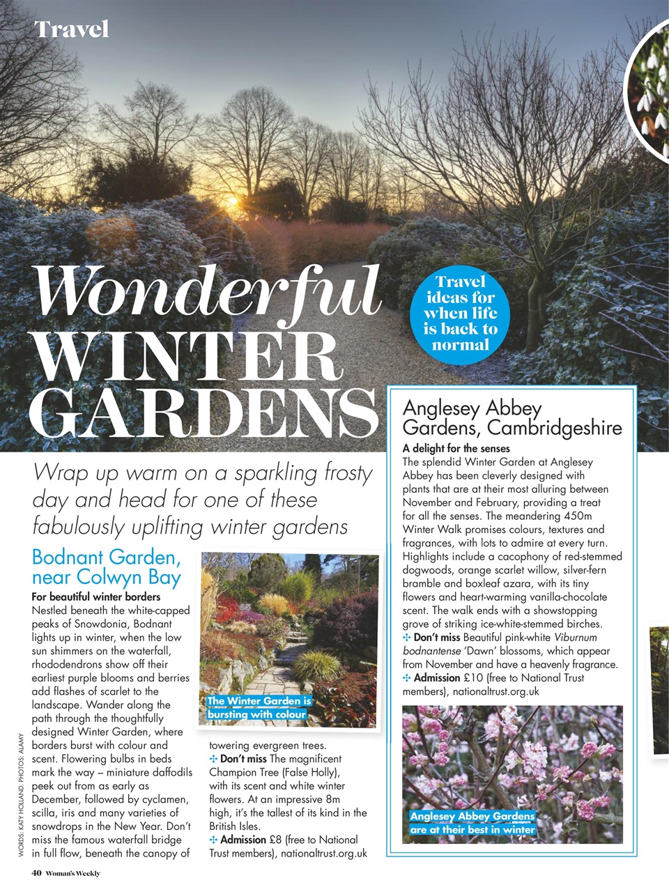 Woman's Weekly Preview Pages