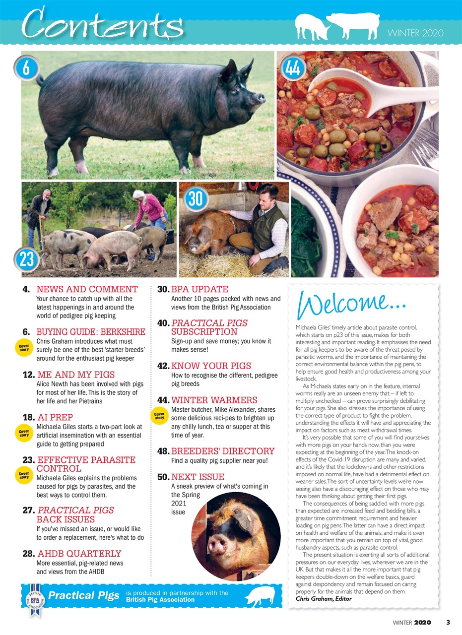 Practical Pigs Preview Pages