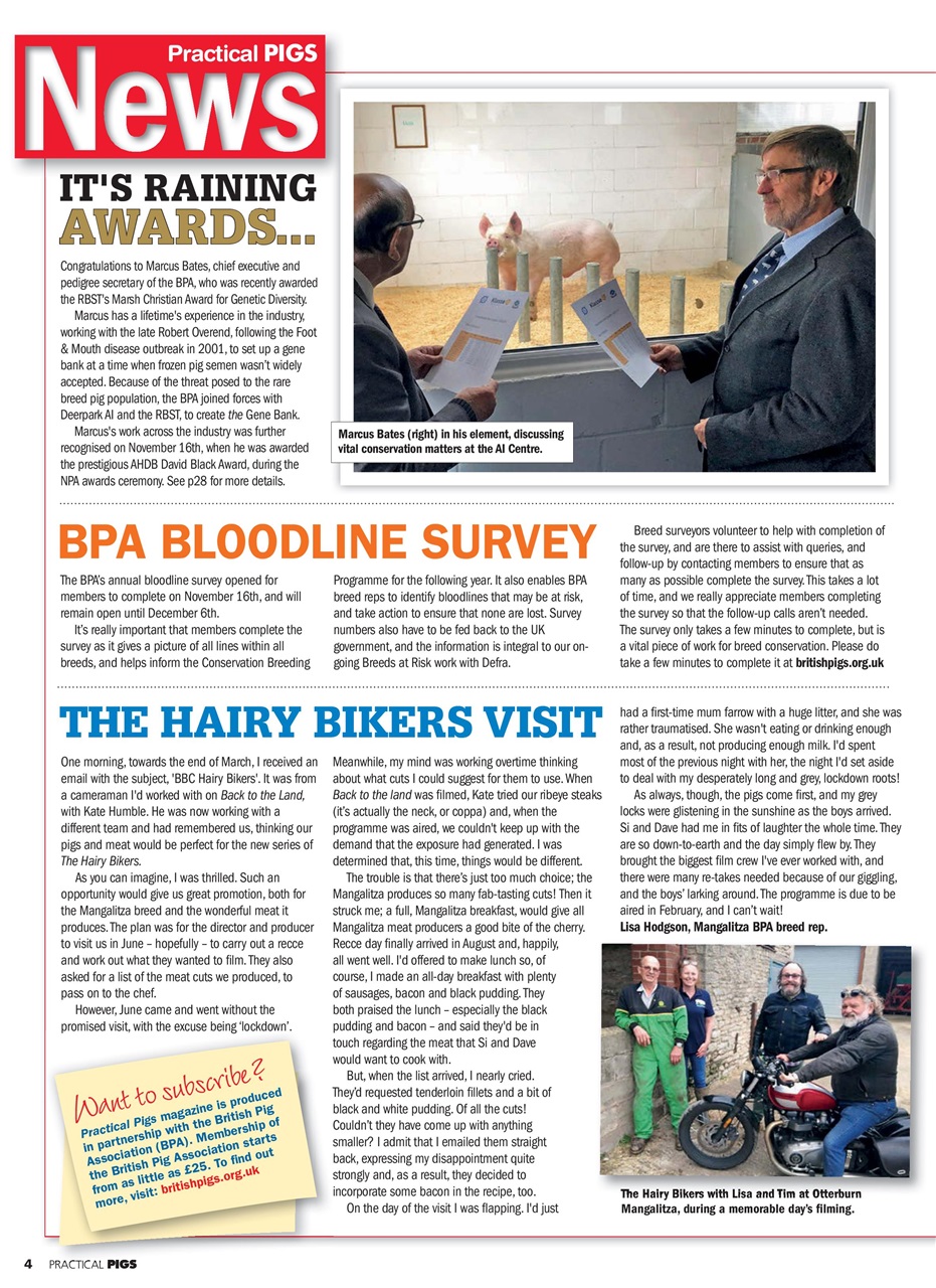 Practical Pigs Preview Pages