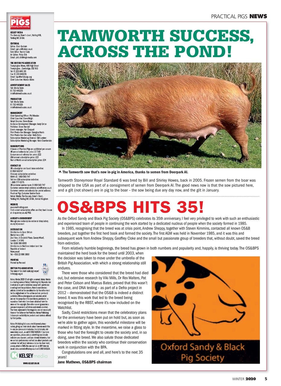 Practical Pigs Preview Pages