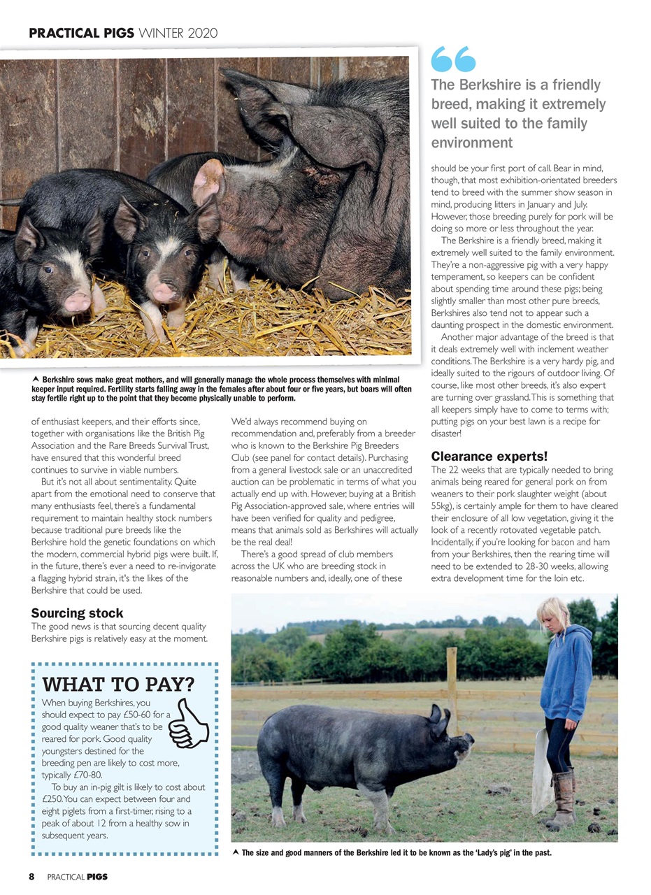 Practical Pigs Preview Pages