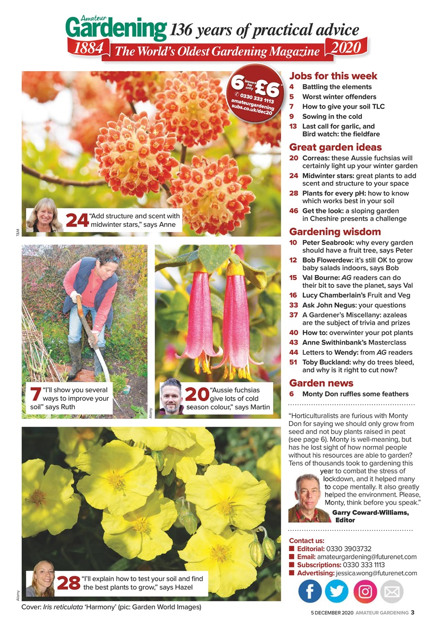 Amateur Gardening Preview Pages