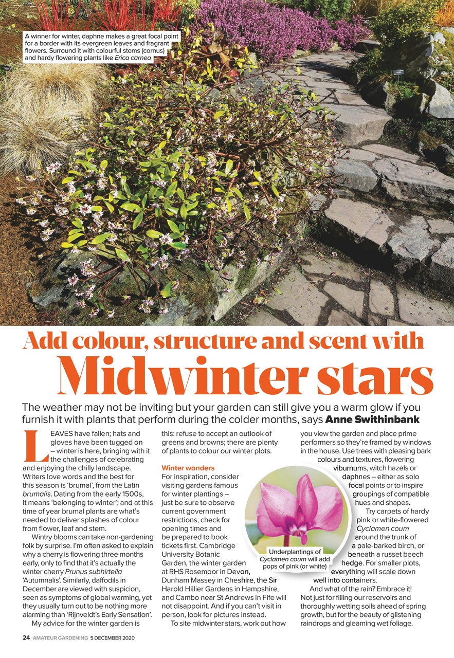 Amateur Gardening Preview Pages