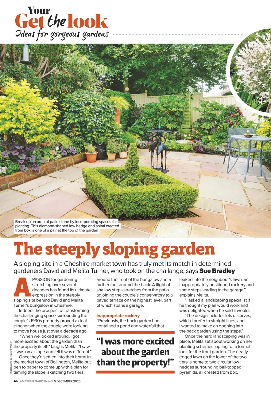 Amateur Gardening Preview Pages