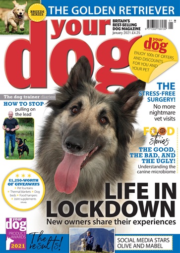 Your Dog issue 