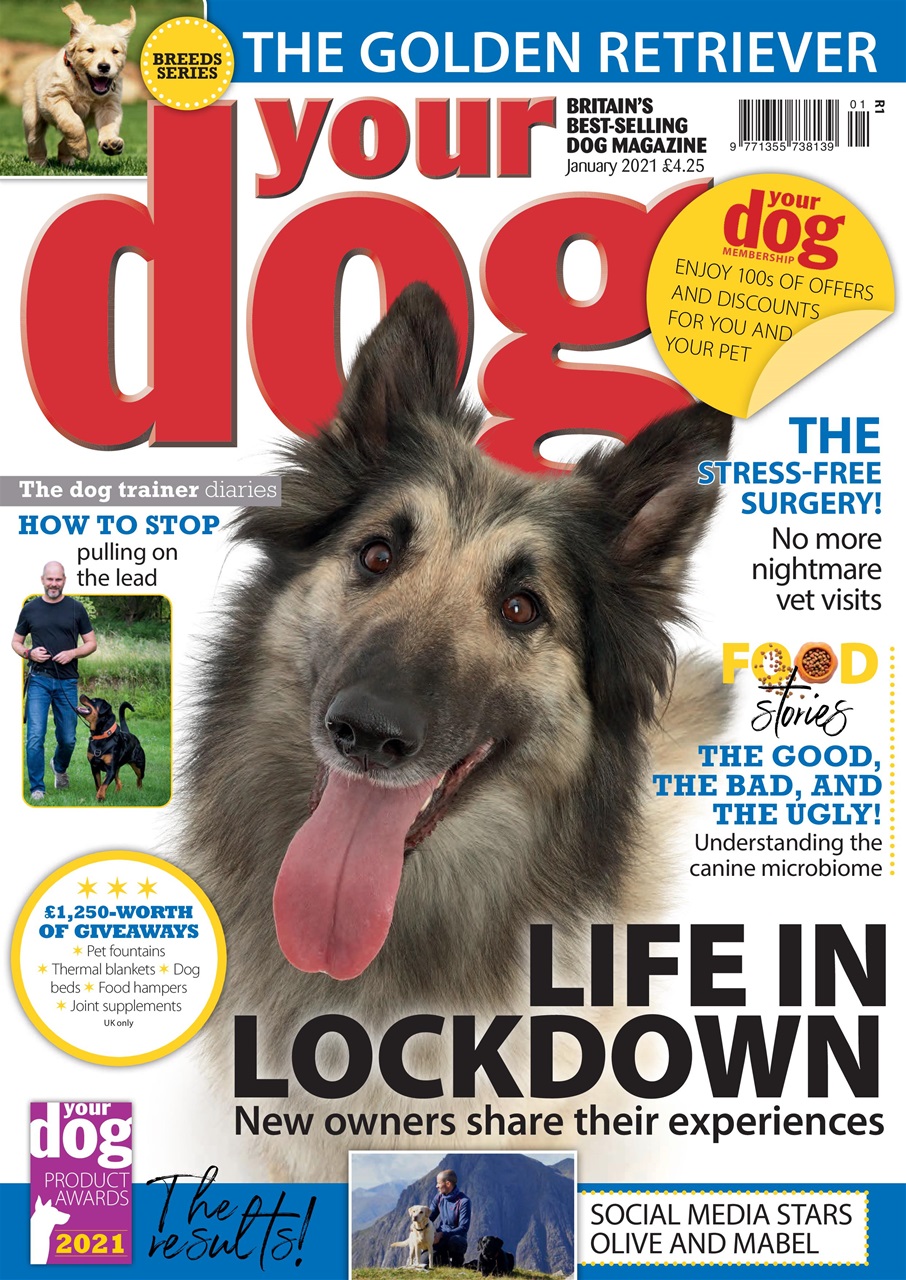 Your Dog Preview Pages