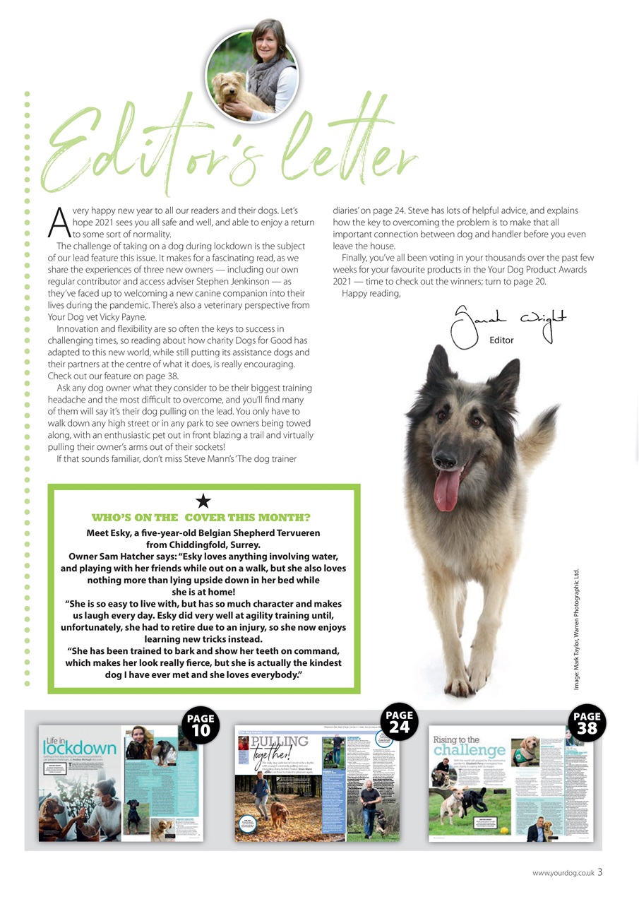 Your Dog Preview Pages