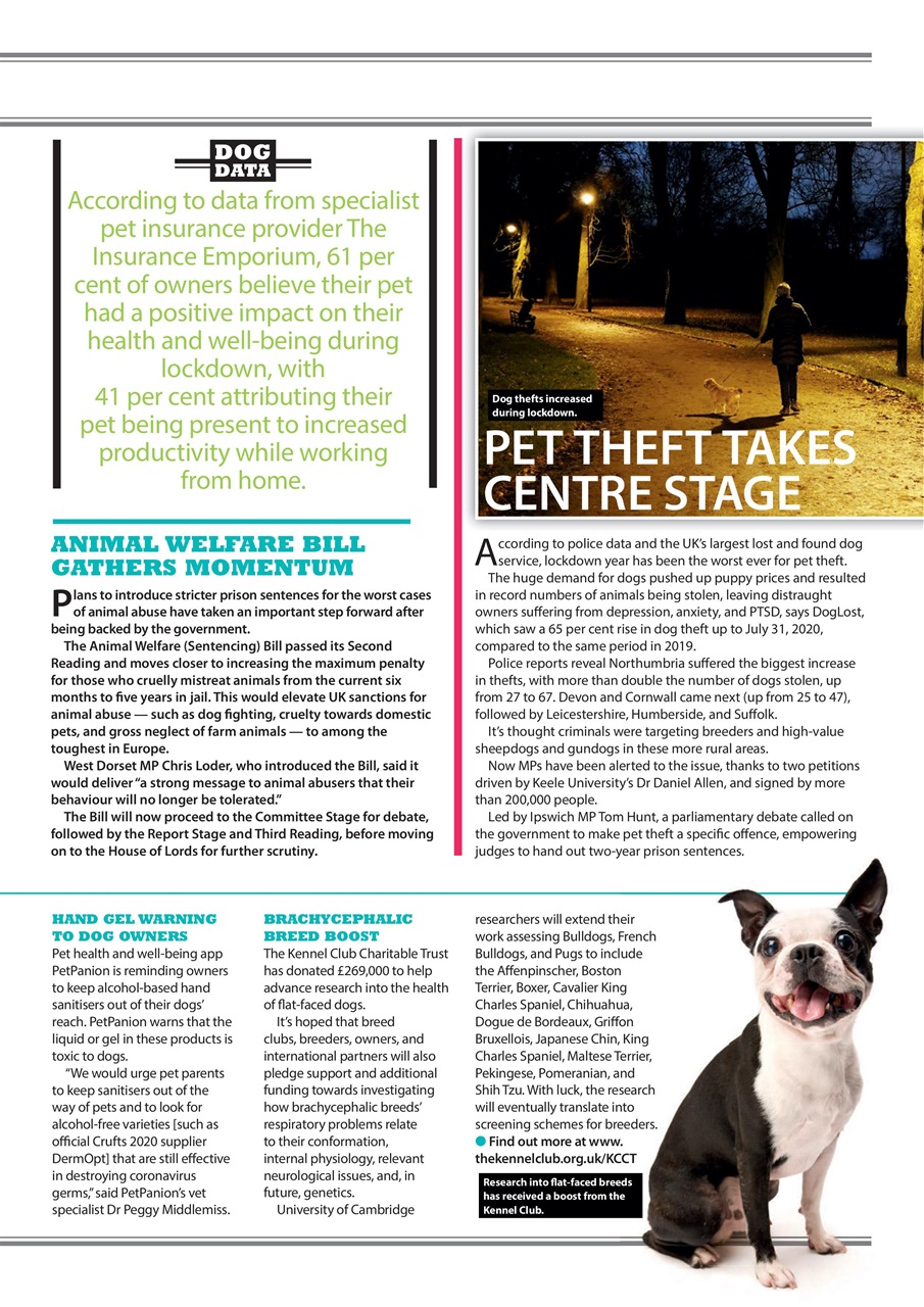 Your Dog Preview Pages