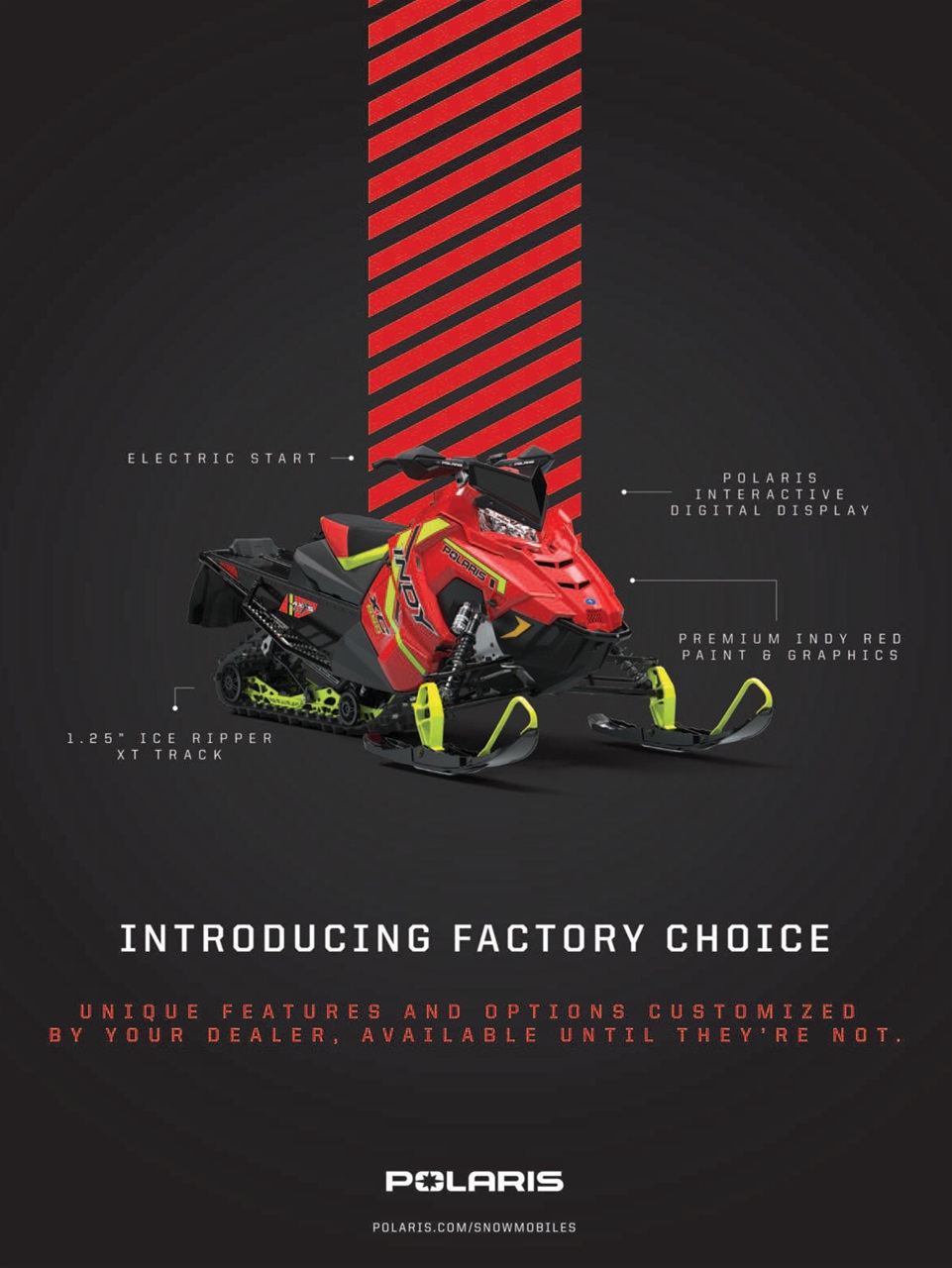 SnowGoer Preview Pages