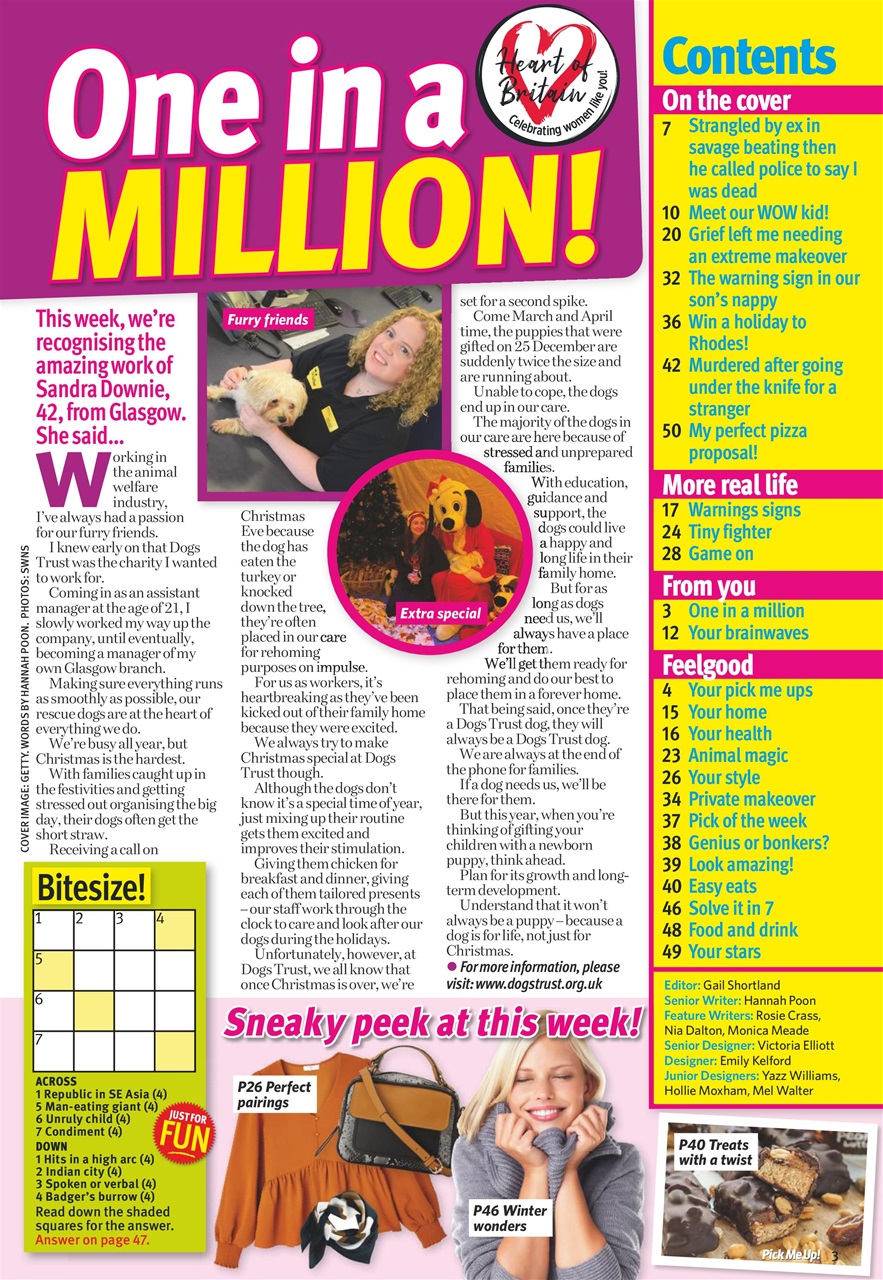 Pick Me Up Preview Pages